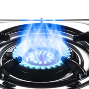 Blue Flame Gas Stove